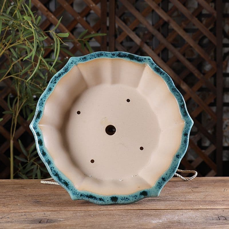 六方菱の鉢 多肉菖蒲盆栽 植木鉢 小品盆栽鉢 大品盆栽鉢