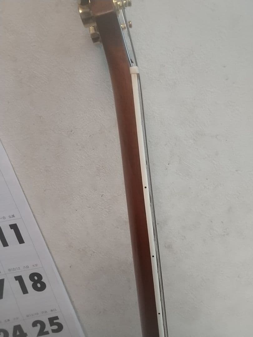 フジゲン/F&CアンボーイAnboy☆AF-55c オールマホガニー