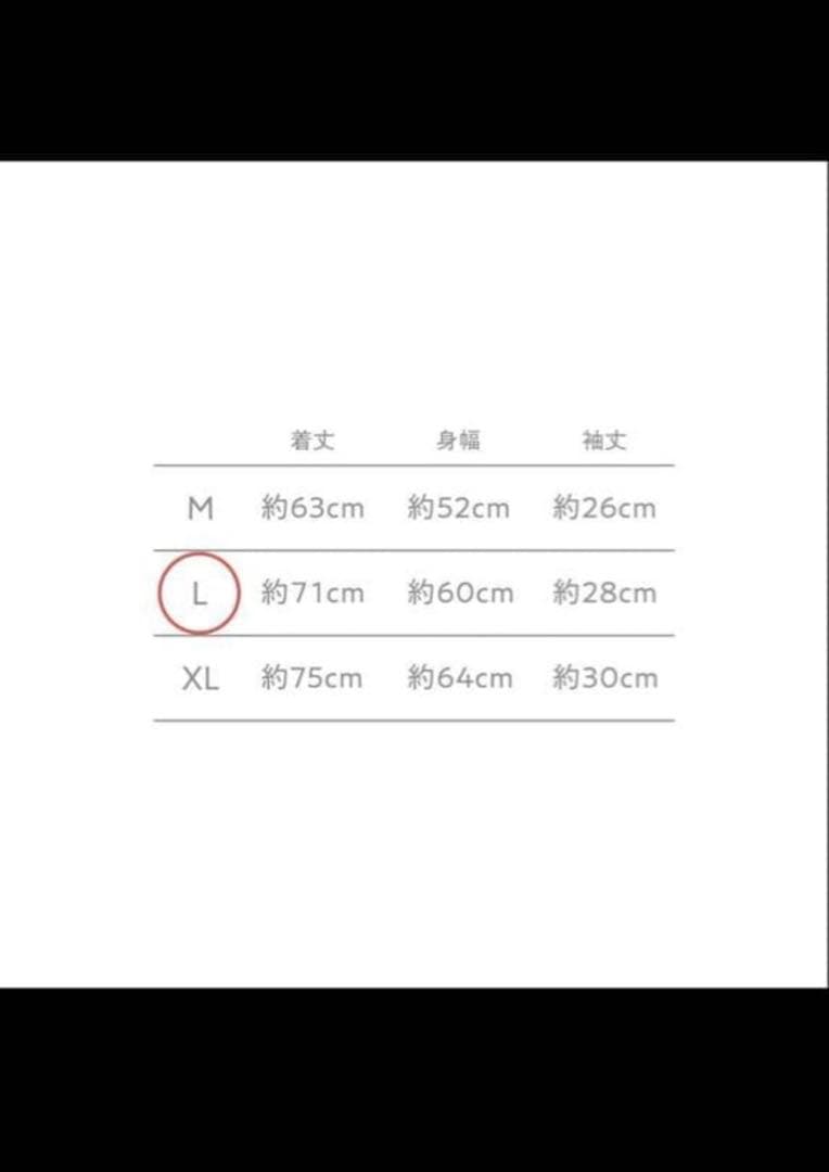 Lサイズ JUNK WORLD TOUR TEE 新品未使用