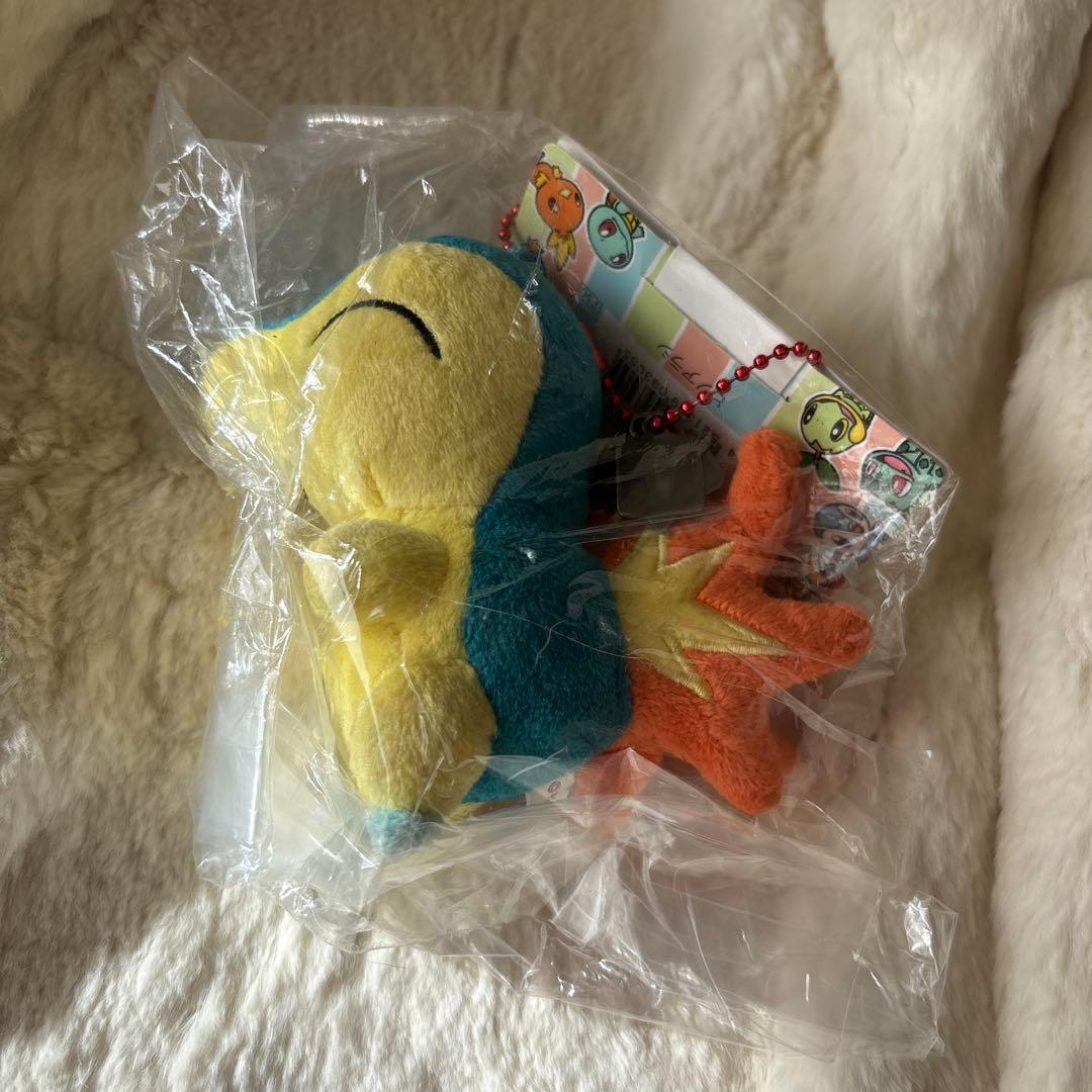 ポケモンセンター　連れ歩き　マスコット　ぬいぐるみ　ヒノアラシ　レア