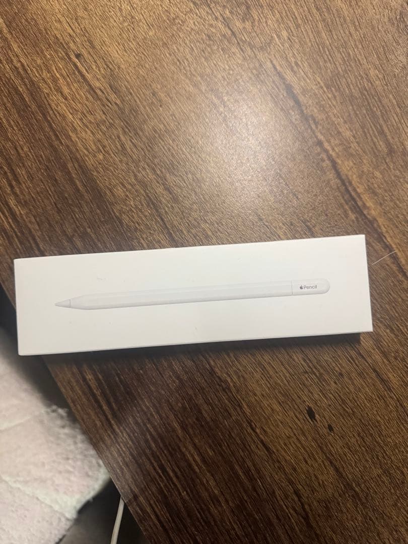 アップルペンシル usb c タイプ　ApplePencil typeC
