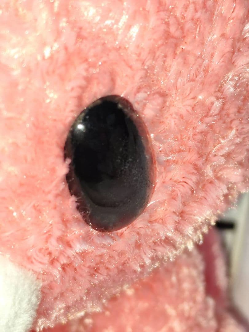 チャックスGP SL 祝グルーミー 3rd anniversary 激レア