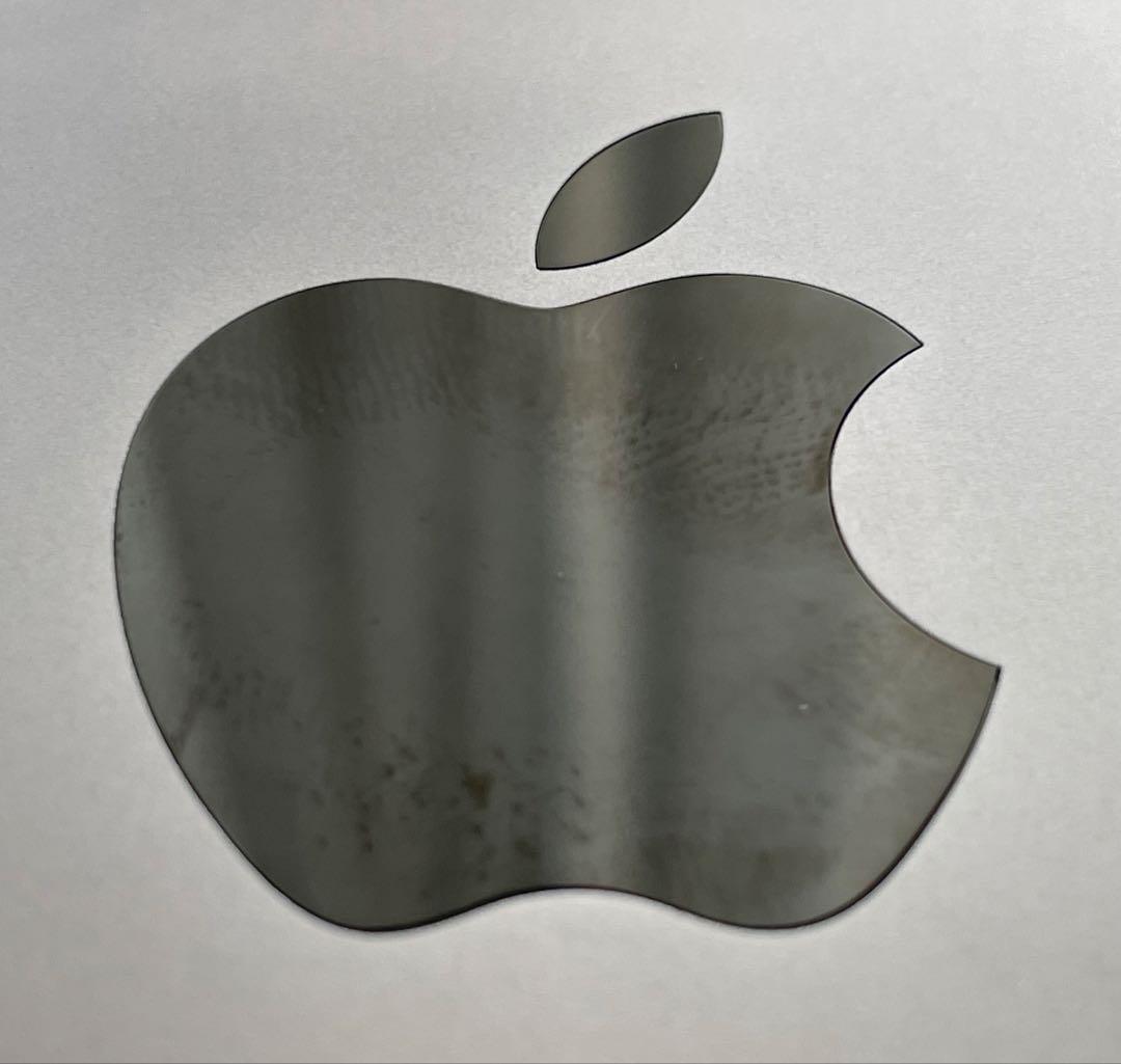 iPad本体 iPadPro11 Wi-Fi+Cellular 256GB