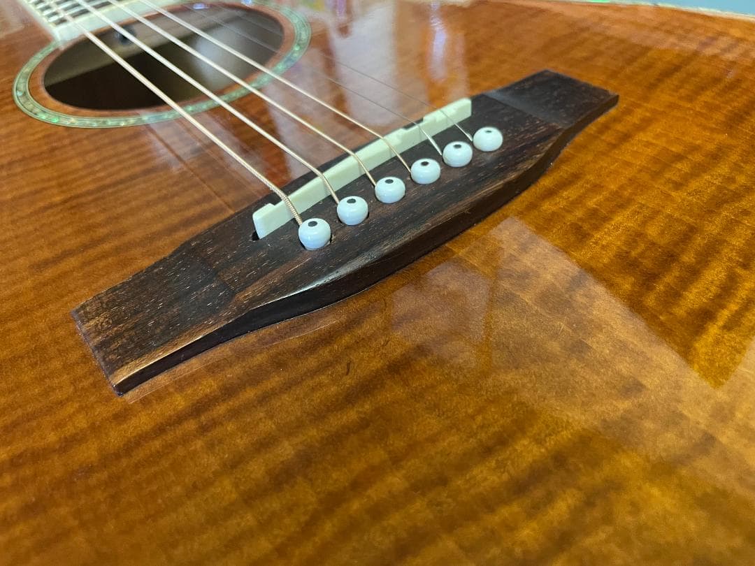 ギター Takamine Cooder TCP-560VB