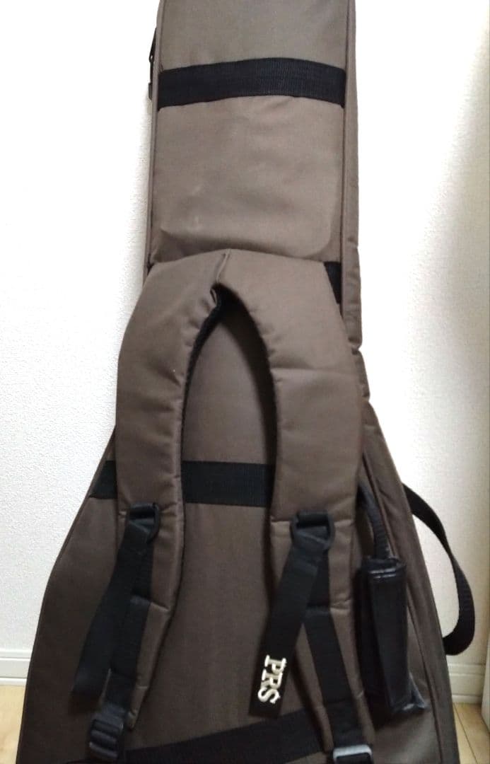 PRS custom24 SE グリーン ソフトケース付き