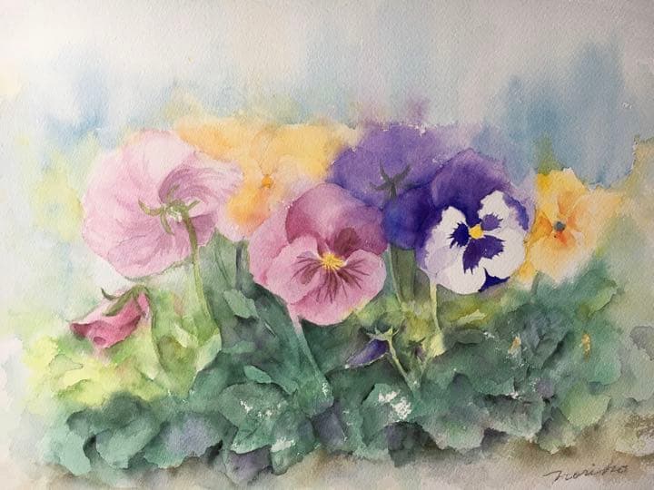 透明水彩原画パンジー春の花飾りA