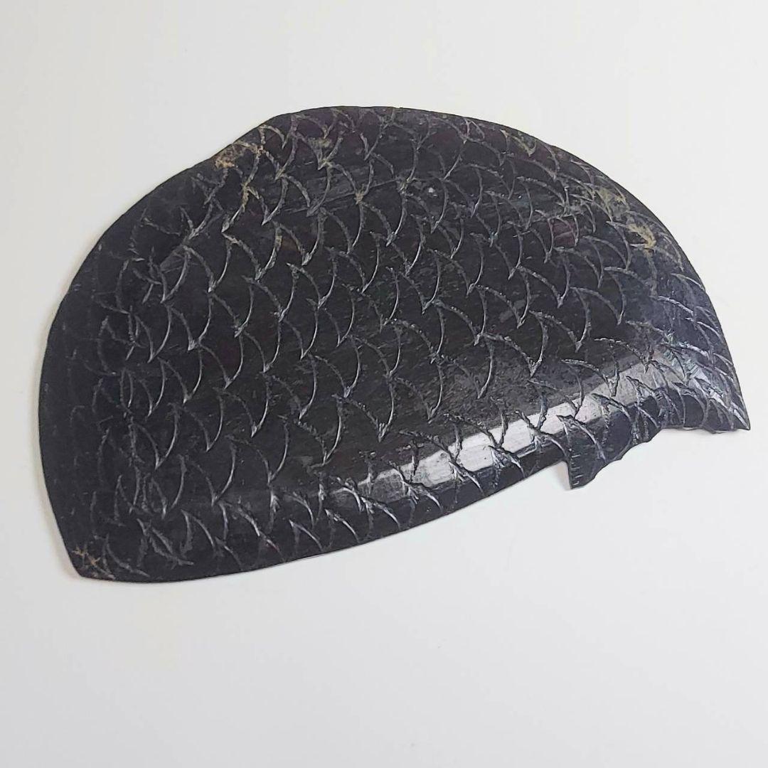 23-1044 茶道具　鯛の煎茶盆　埋もれ木　江戸時代