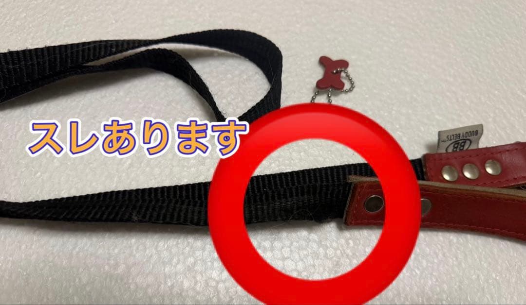 バディベルト5号、リード、ライナーセット