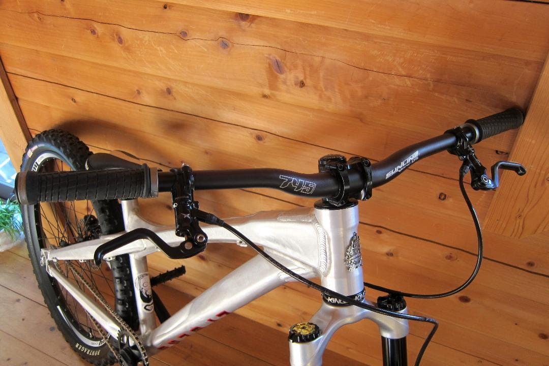 Intense Tazer HT ダートジャンプ／ストリートカスタム