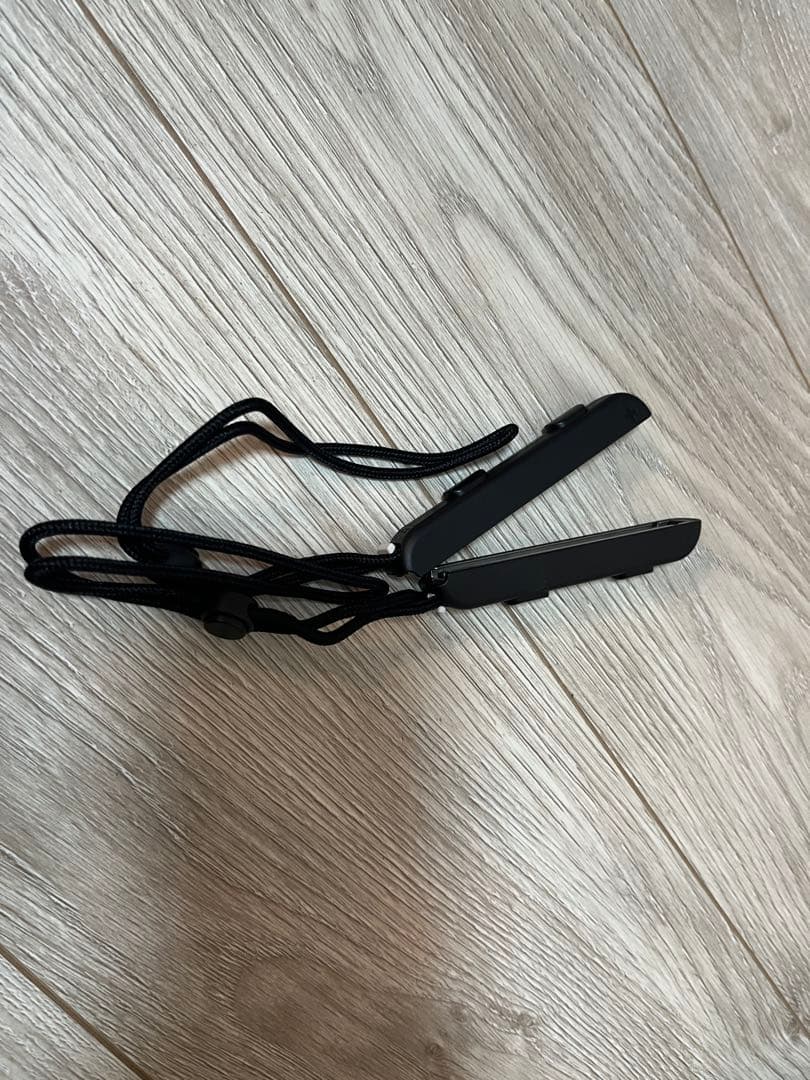 Nintendo Switch 本体 チップとデールケースリングフィット付き