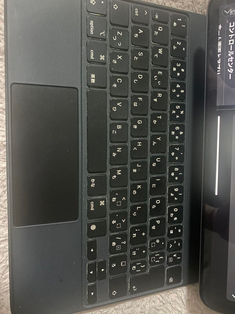 Ram_ adhan03  iPad Pro 11インチ (第2世代) p