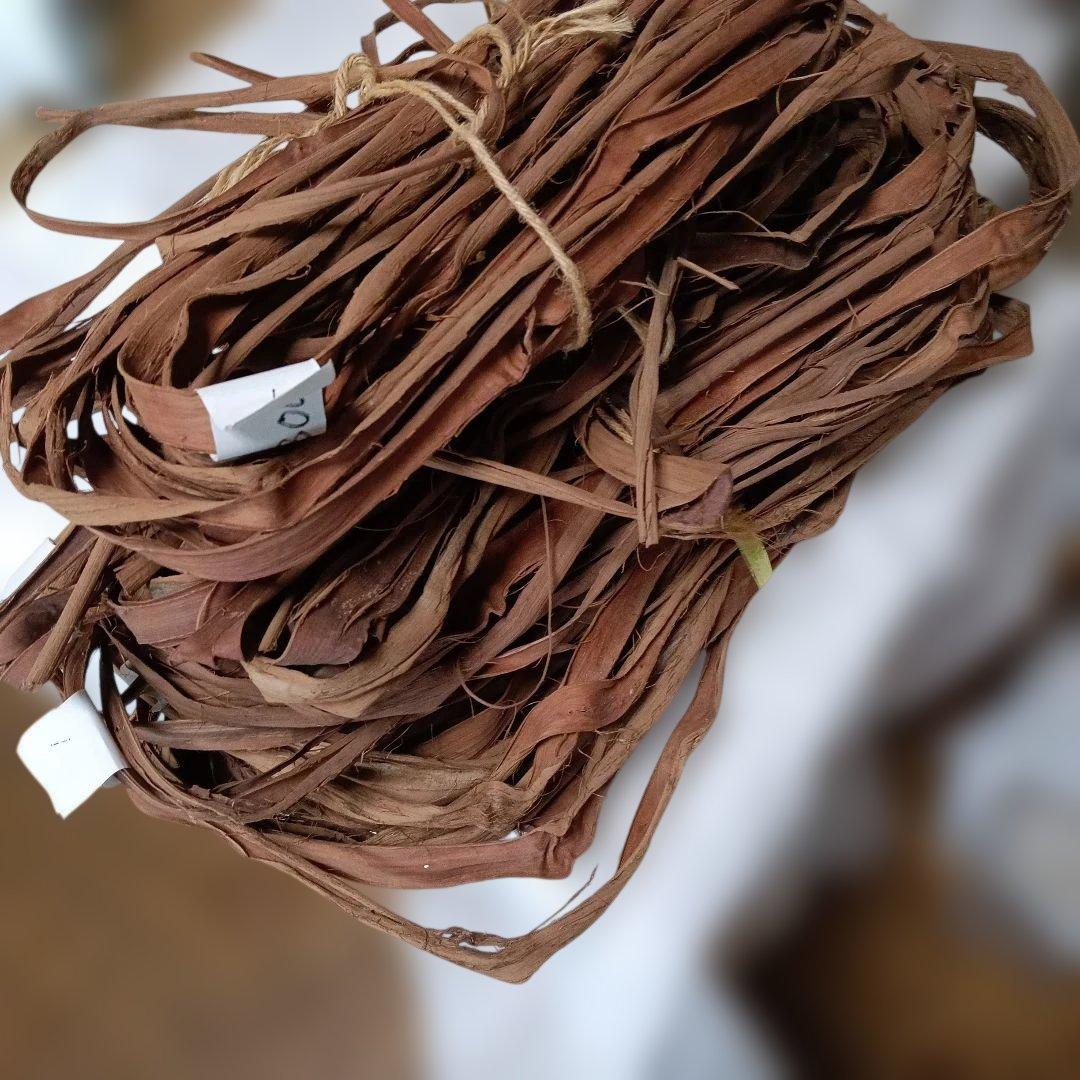 茶色の植物繊維 、山葡萄のつる、 未使用