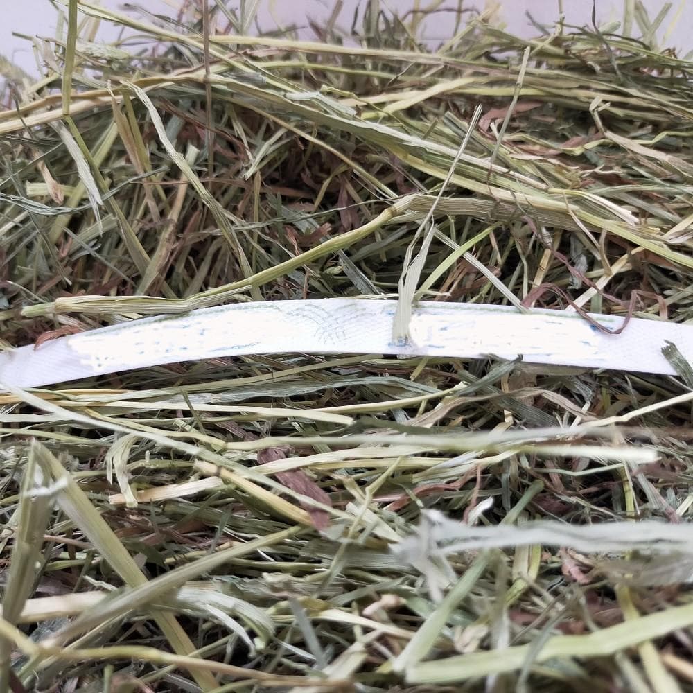 【2/9まで】US産 チモシー 30kg ２番刈り ソフトSプレミアム