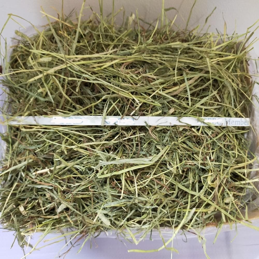 【2/9まで】US産 チモシー 30kg ２番刈り ソフトSプレミアム