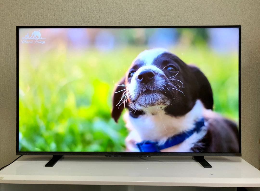 TOSHIBA 43V型 液晶テレビ REGZA 43M550L2024年製