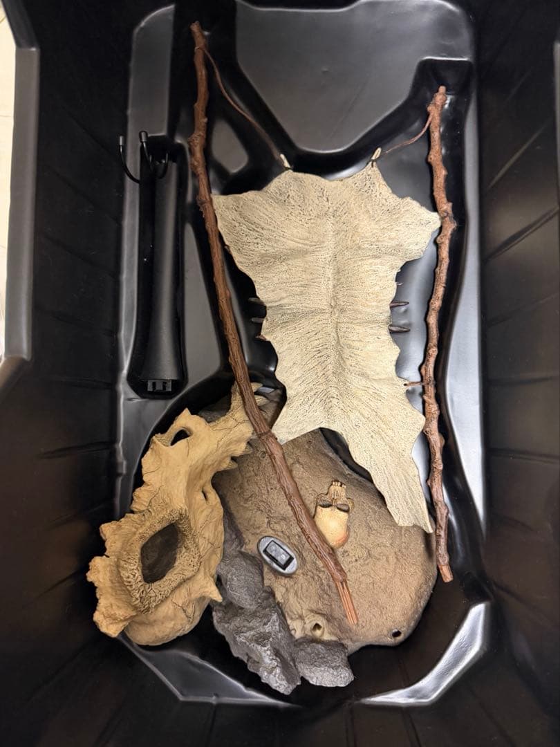 ❗️美品　毎日値下げ❗️ホットトイズ　クラシック　プレデター