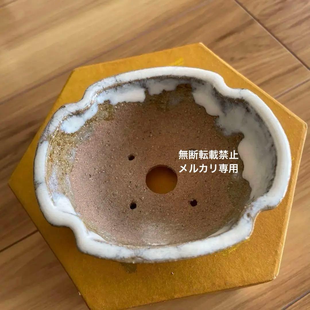 ミニ盆栽鉢　桑津香石　絵鉢　梅　鳥　雪　小品盆栽