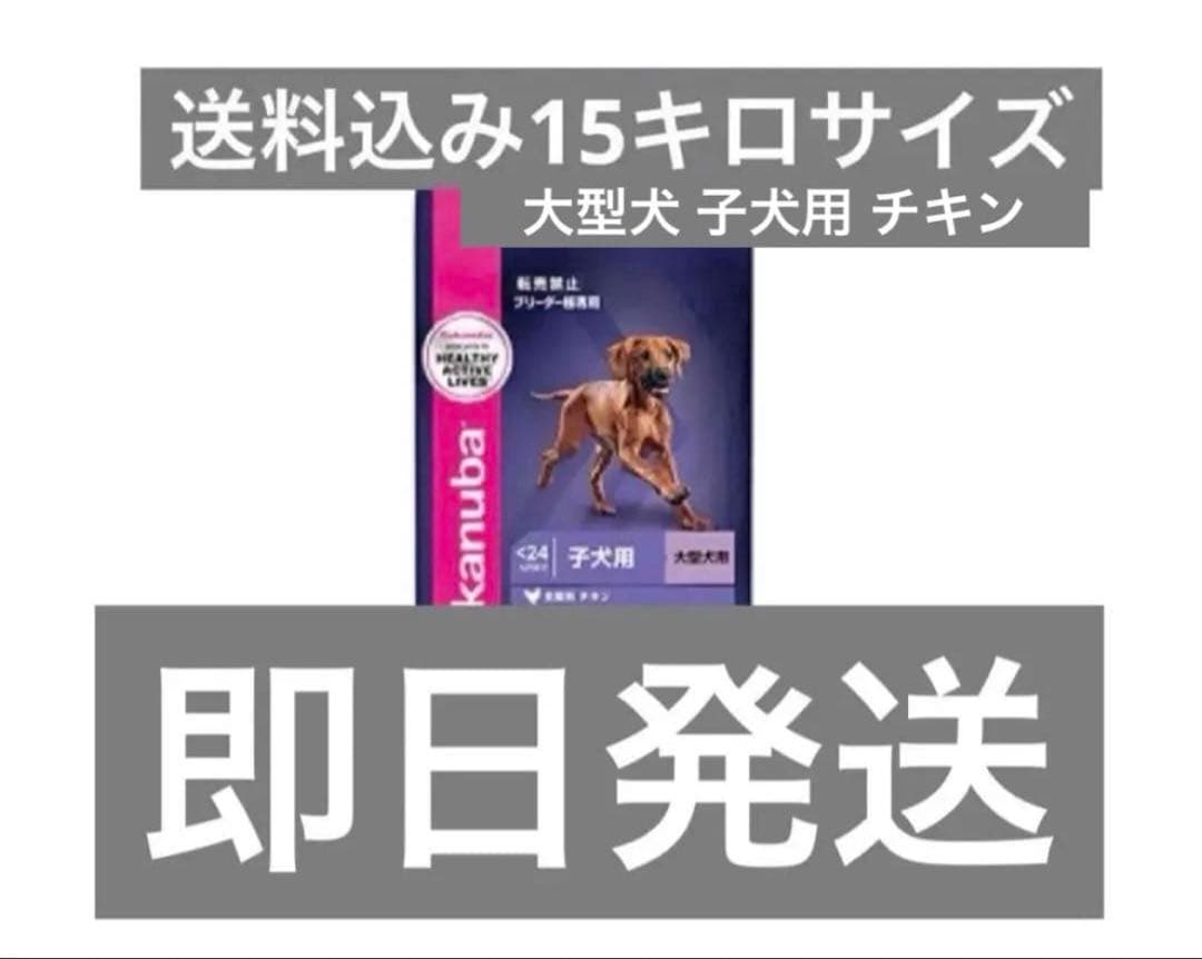 Eukanuba ユーカヌバ 子犬用 ドライフード 大型犬用 15kg
