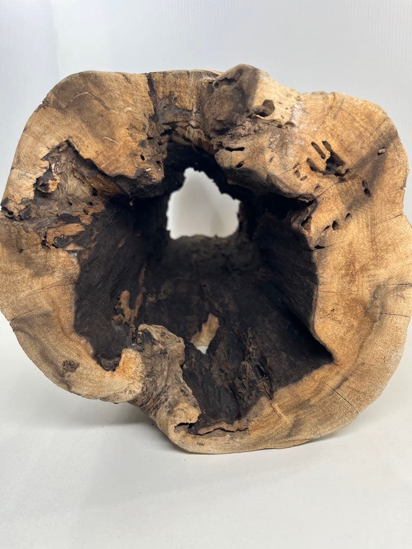 V95 アク抜き済み流木 爬虫類シェルター 登り木 インテリア 生け花