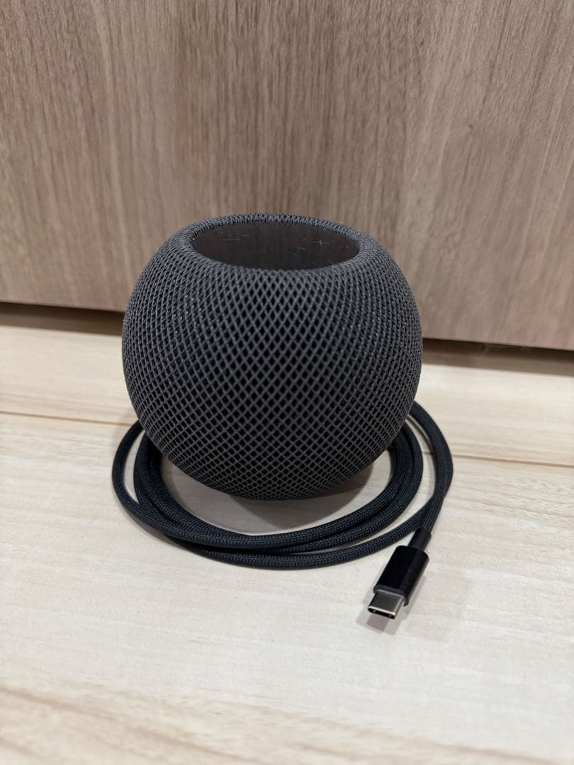 Apple Pod mini スペースグレイ