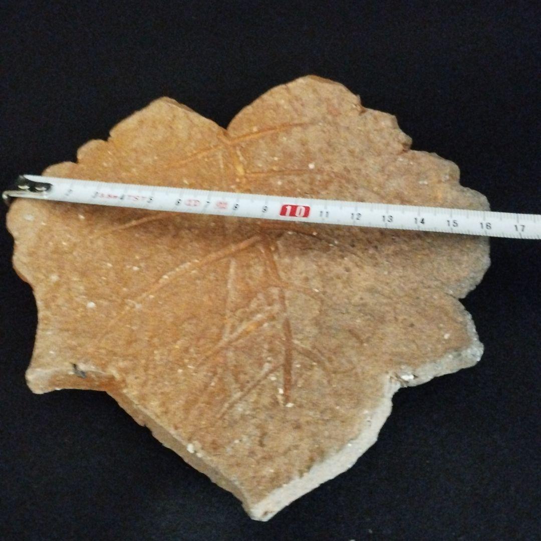 辻清明　信楽　木の葉皿