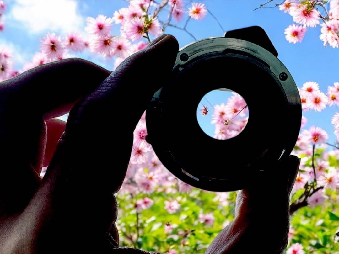 【OH済 】極上美品　M-ROKKOR 40mm Leica ライカ