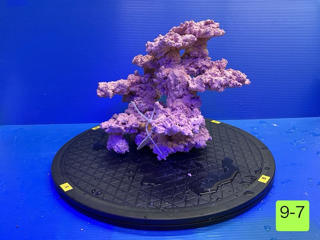 人工ライブロック　No.9-7 CO2 無害化処理済