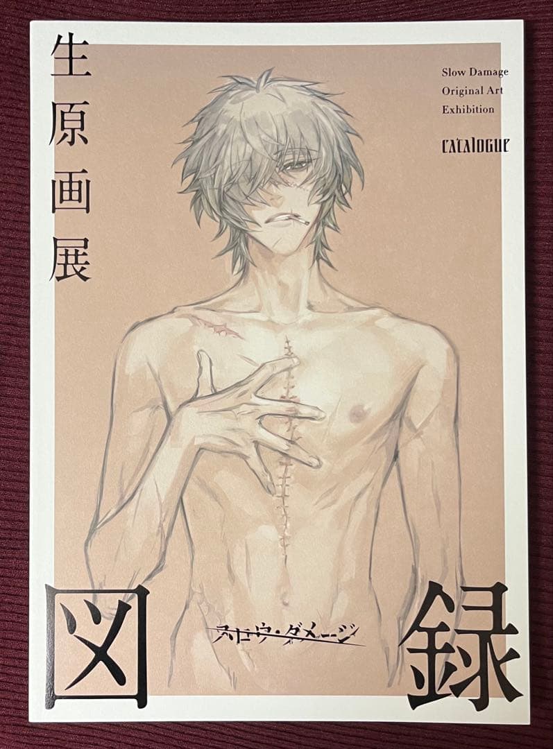【美品】スロウダメージ 生原画展 図録 スロダメ Slow Damage
