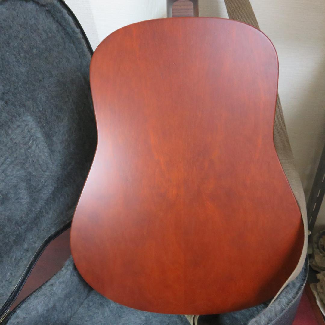 アコースティックギター シーガル ケース付き seagull S6 CEDAR