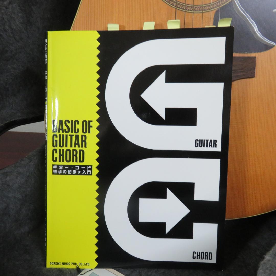 アコースティックギター シーガル ケース付き seagull S6 CEDAR