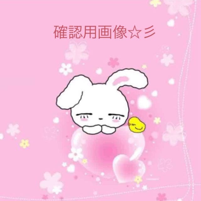 まゅpiko問い合わせ用☆彡