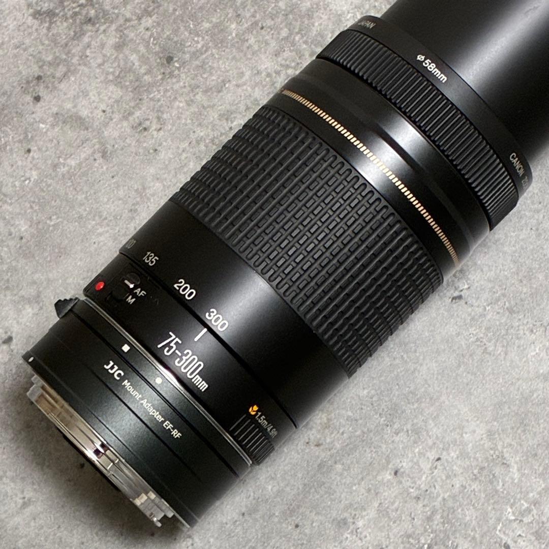 ⭐️美品⭐️Canon EF 75-300 II & EF-EOS R アダプター