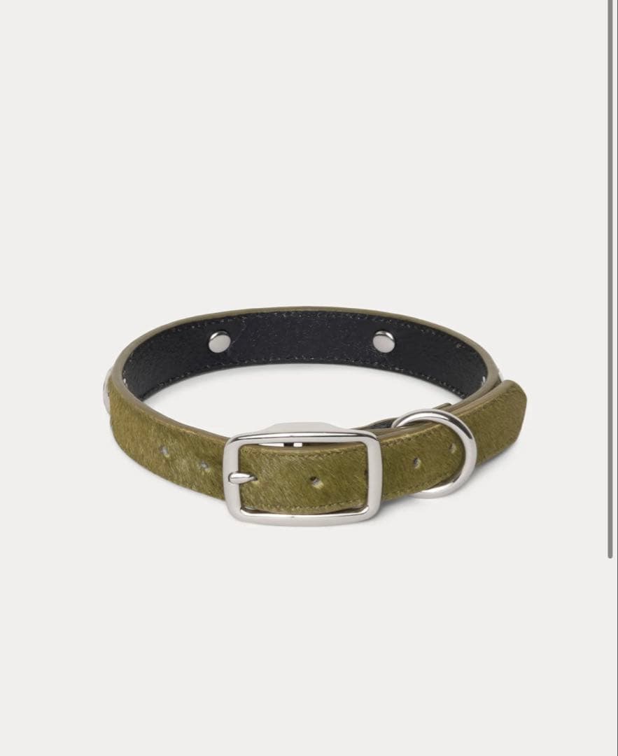 STUSSY STUDDED DOG COLLAR メタルロゴ　 犬　首輪
