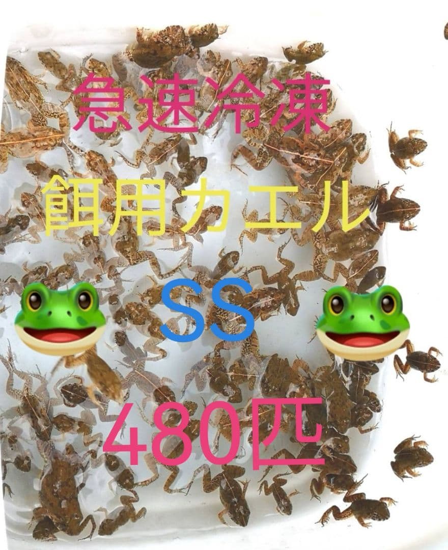 480匹【冷凍】SS 餌用カエル ヌマガエル 蛇の餌 アフリカツメガエルの代用