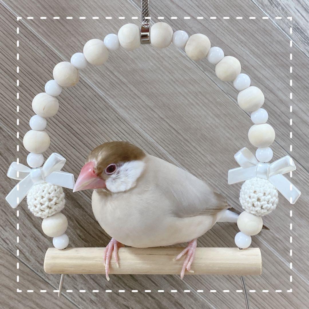 【Sora】ことりのおおきなあそびば