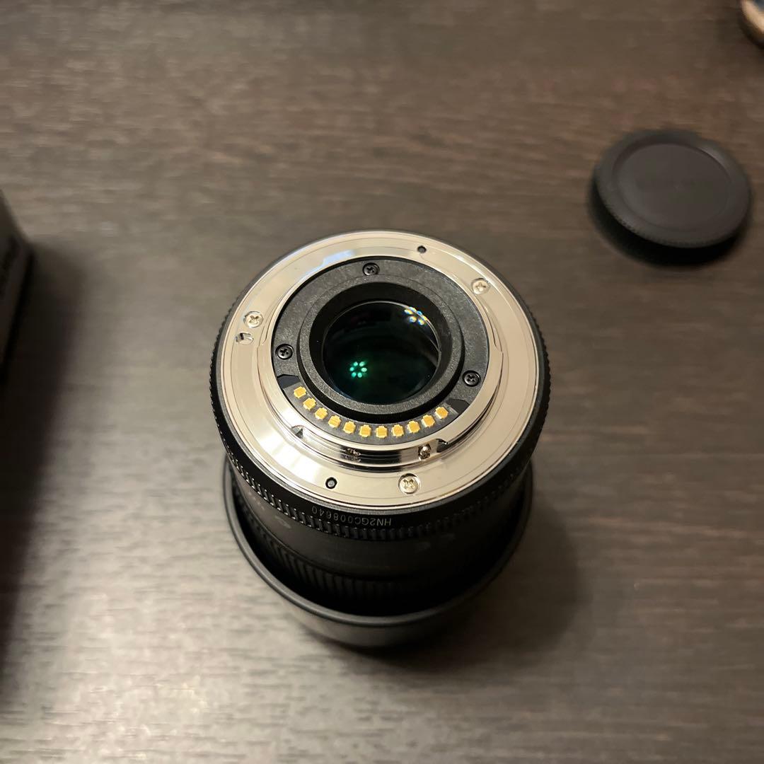 Panasonic LUMIX G 45-175mm レンズ