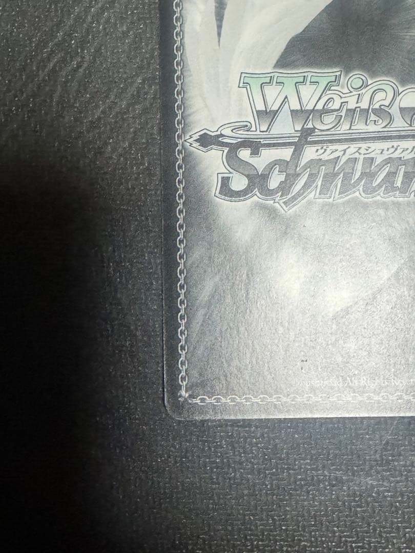 約束のパートナー　沙耶　SSP