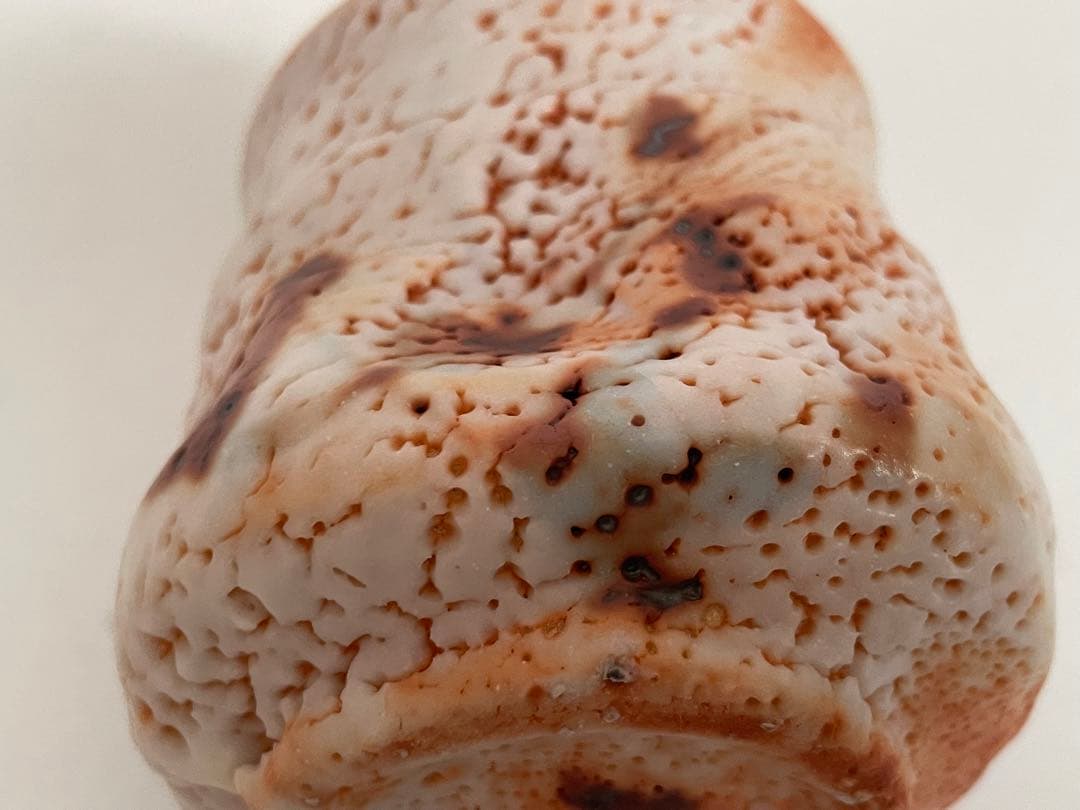 陶芸家　林正太郎　志野　湯呑　共箱