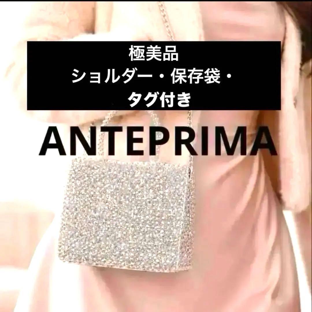【極美品】保存袋・カード アンテプリマミニアトゥーラ チェーン 2WAYバッグ
