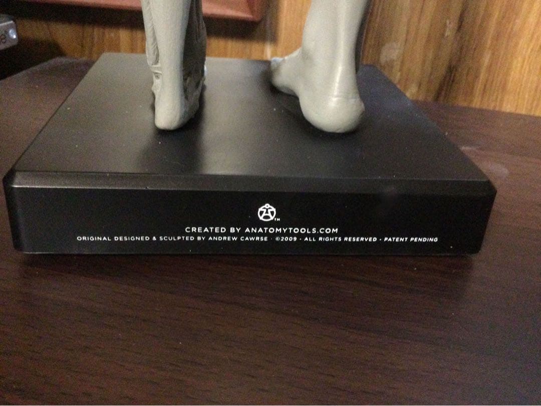 AnatomyTools アナトミーフィギュア　女性　1/3