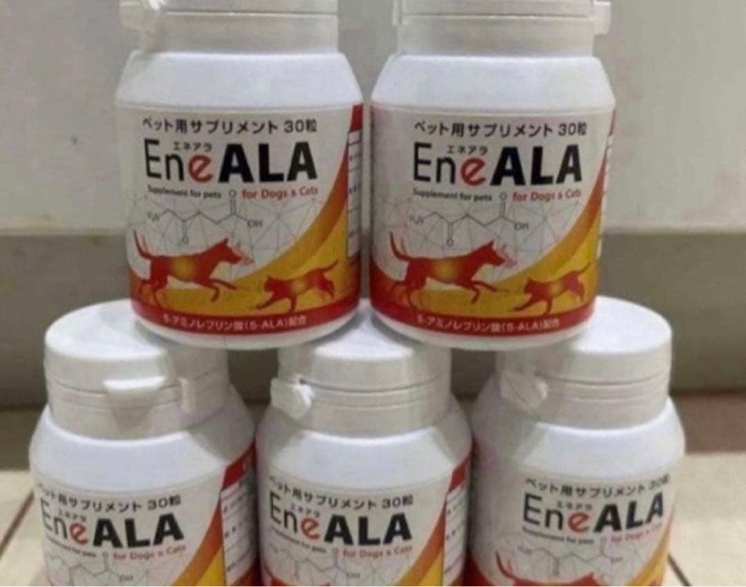 超激安！エネアラ　　5個