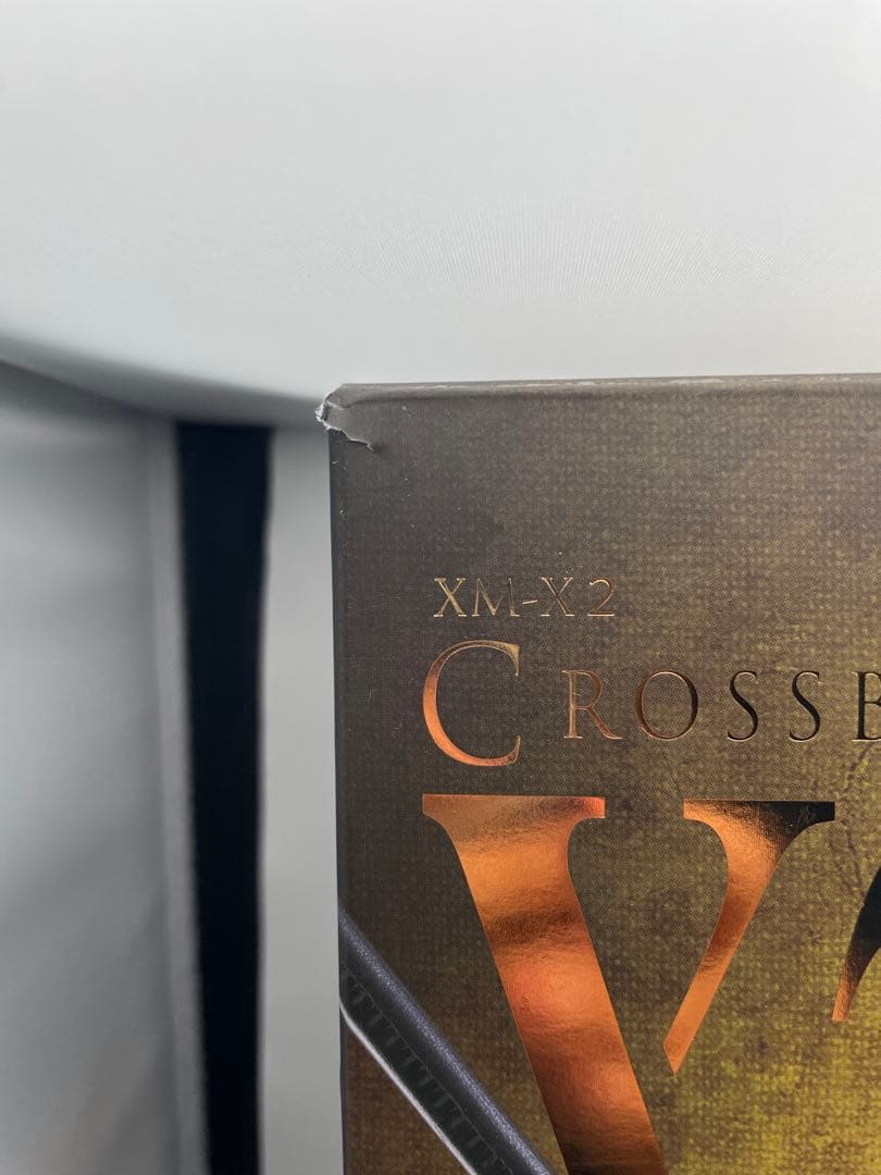 L BUILD クロスボーン・ガンダムX2