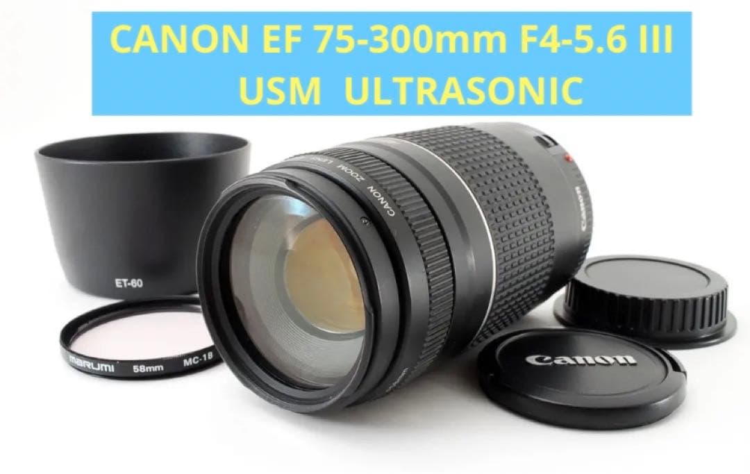 イベント⭐︎スポーツ☆キャノン Canon EF75-300㎜☆ フード付き☆