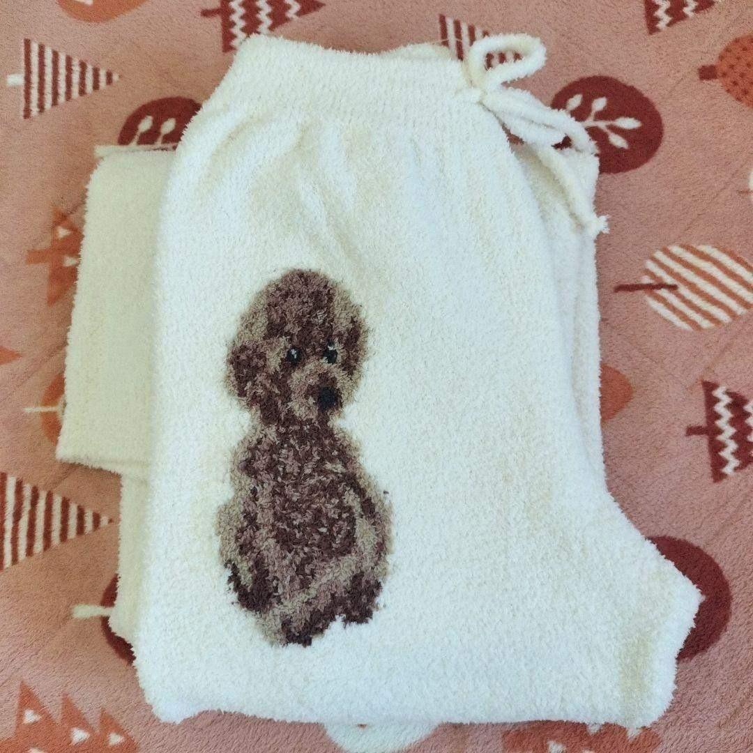 トイプードル　ジャガードプルオーバー　ジェラートピケ　ルームウィア　上下セット