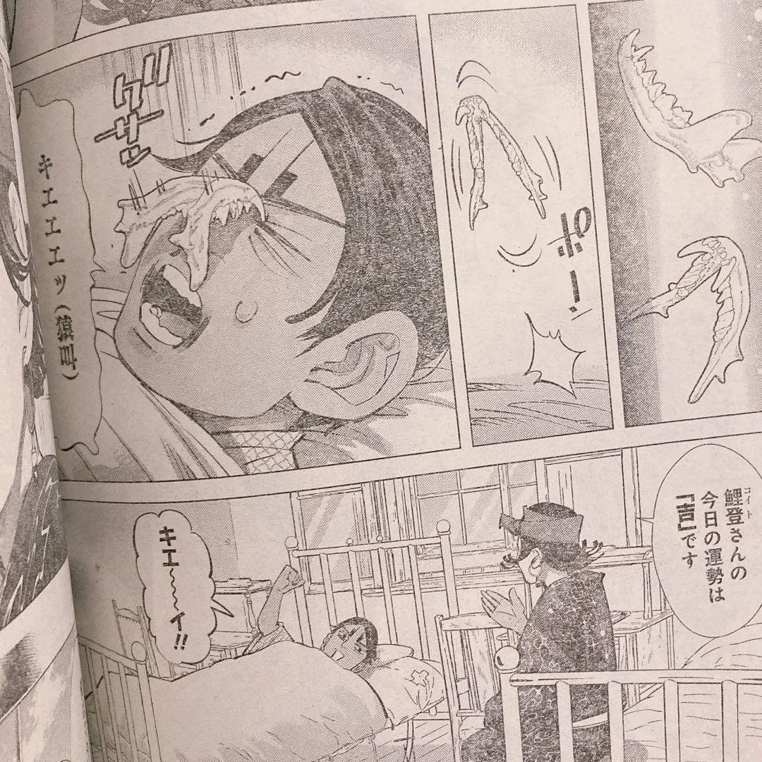 ゴールデンカムイ　2020年　週刊ヤングジャンプ　全冊