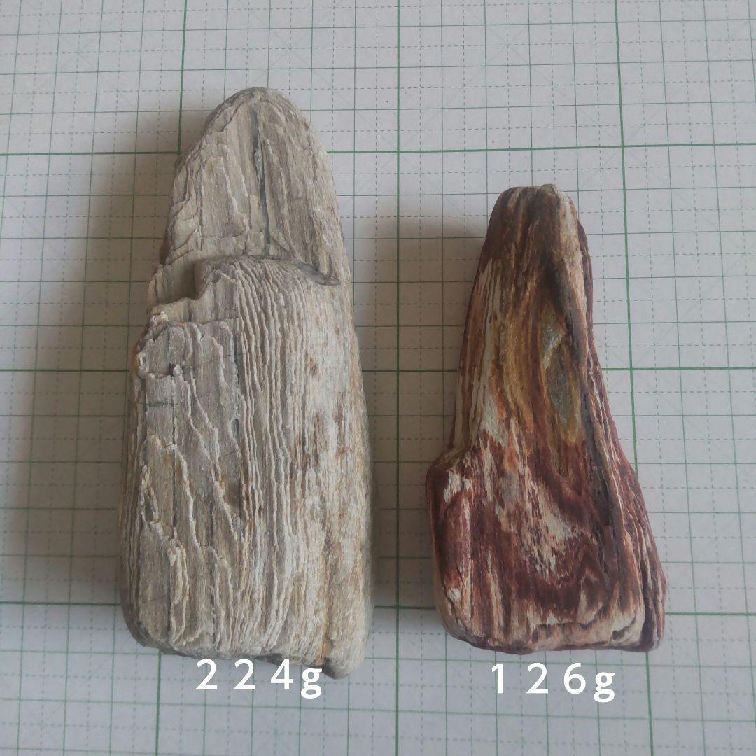 BM、珪化木セット