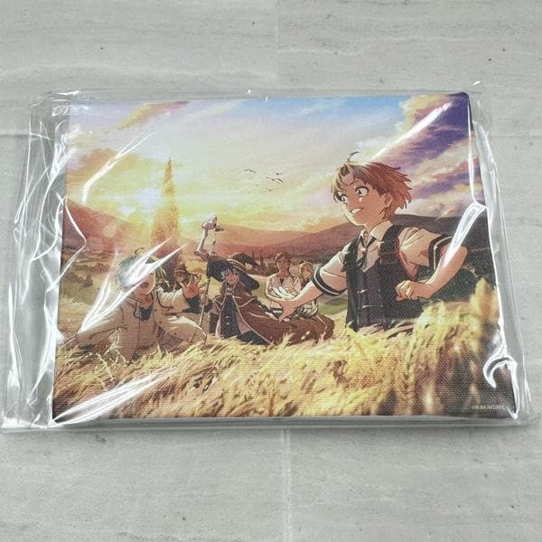 公*o様 未使用・長期保管　無職転生～異世界行ったら本気だす～　キャンパスアート