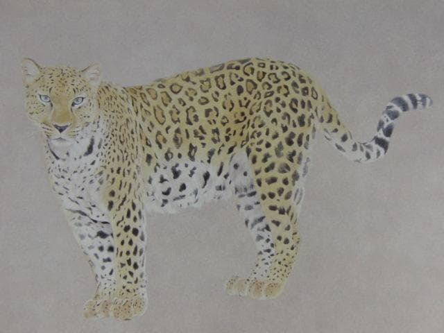 河股幸和、【紋】、希少な額装用画集より、新品額装付、状態良好