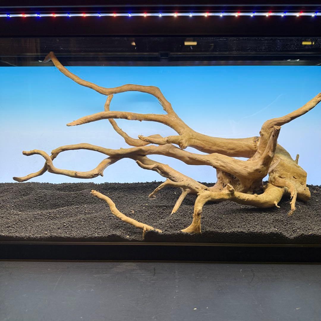 MDW-7102 ブランチウッド2本セット　流木セット　枝流木　アクアリウム