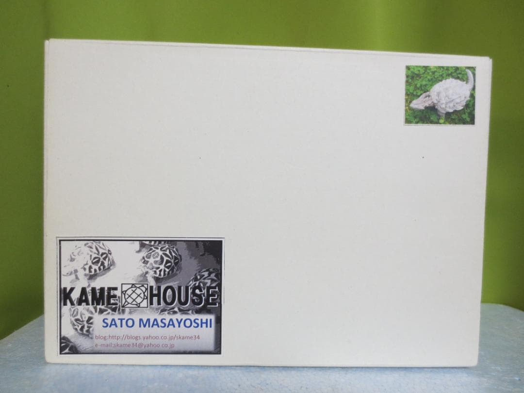 KAME HOUSE　幻獣の亀　フィギュア　完成品　22㎝　ガメラ